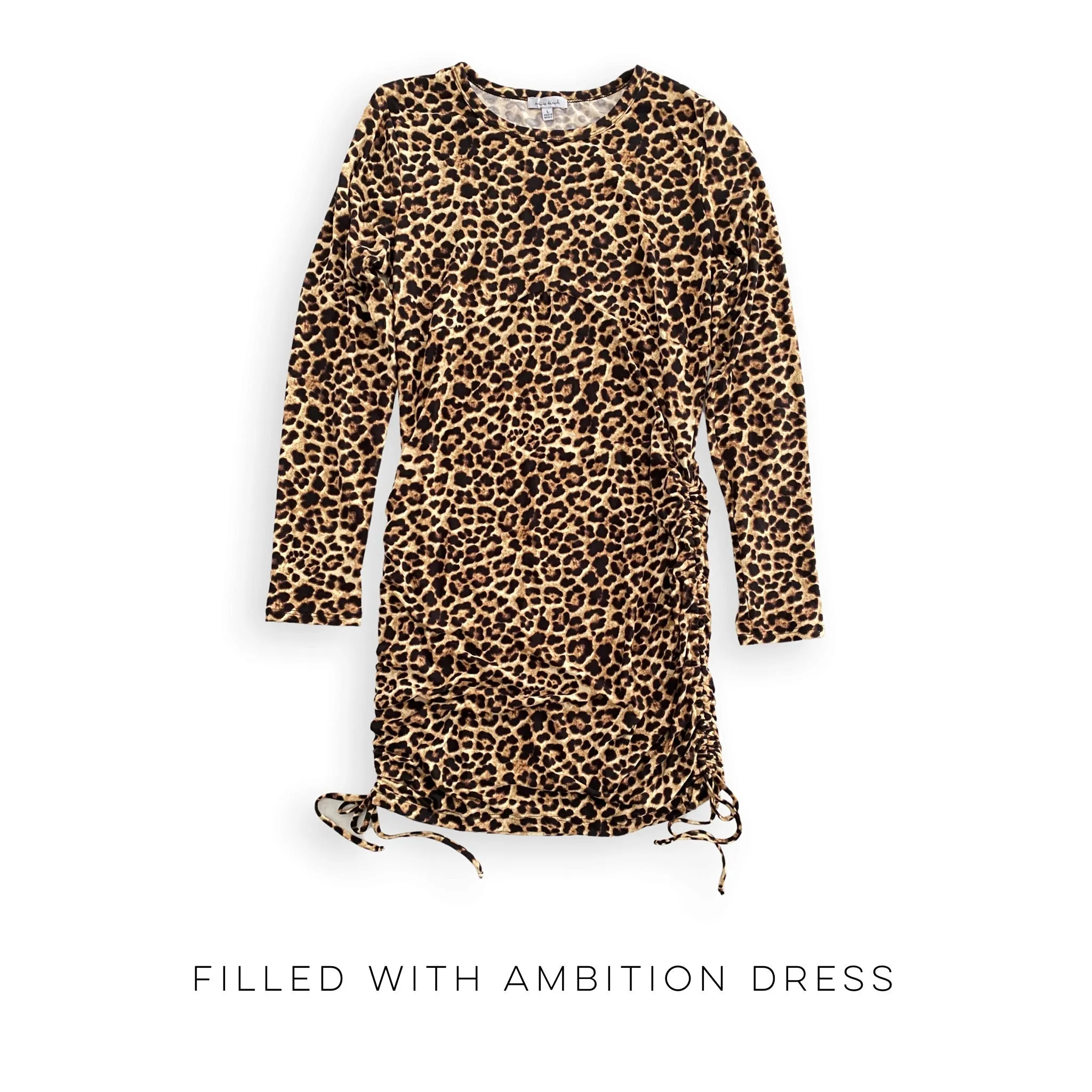 Filled with Ambition Dress