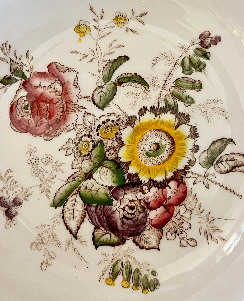 Masons Floral Transferware Hand Painted Rimmed Bowl Embossed Oak Leaf & Acorn Border