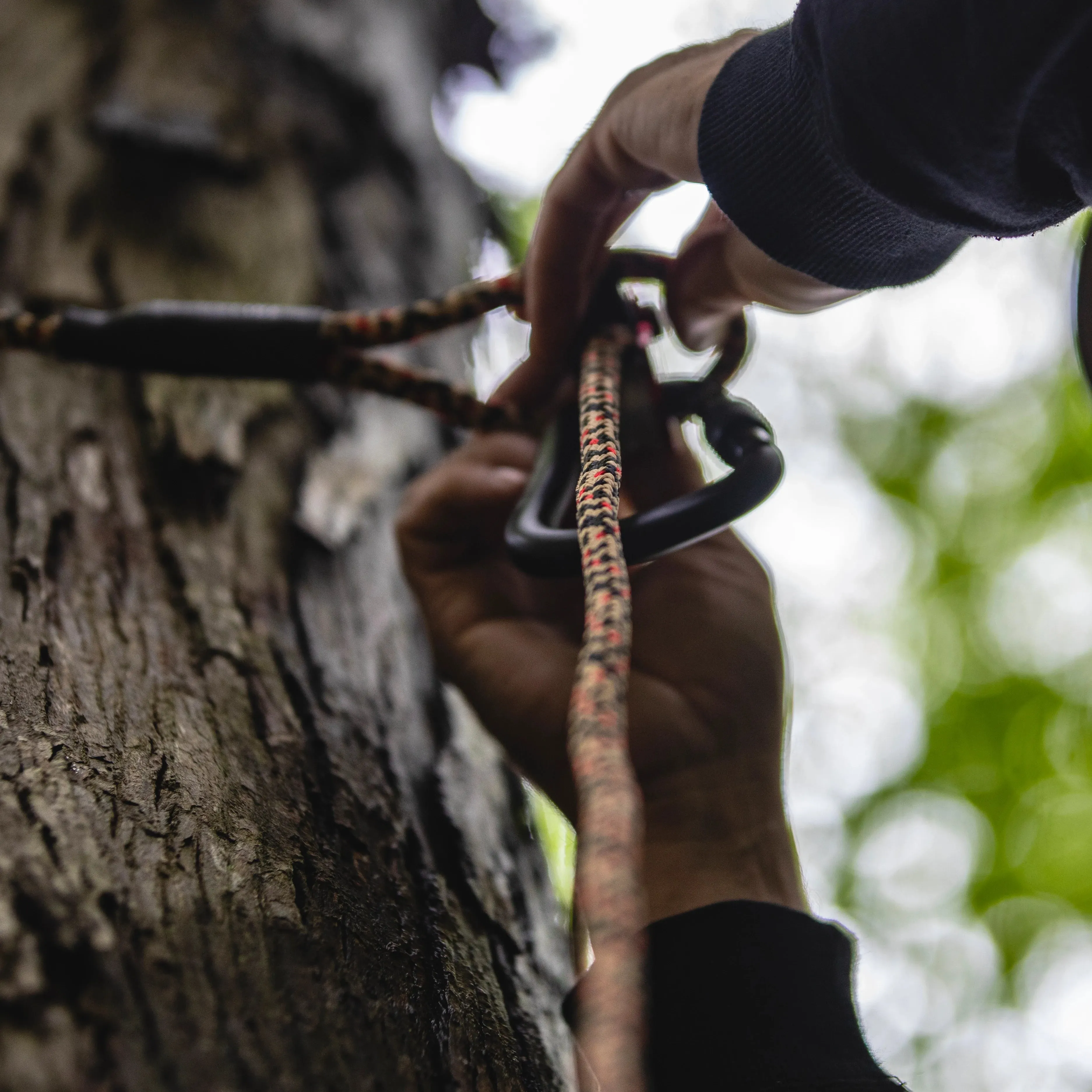 TrophyLine TechCore Rope with Oval Screwgate Carabiner