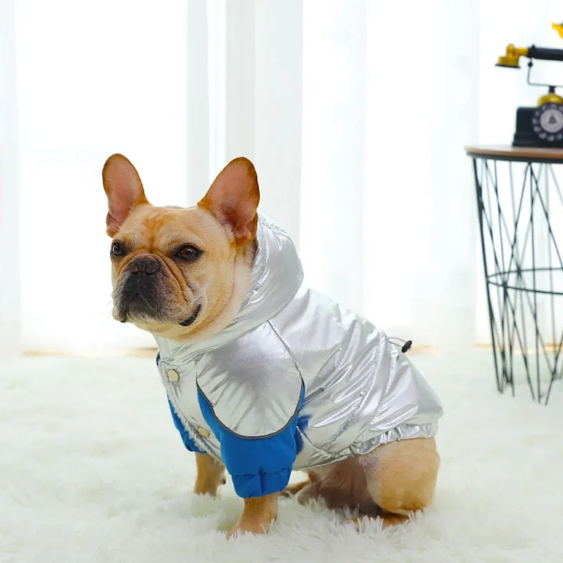 Warm Winter Coat for French Bulldog (WS305)